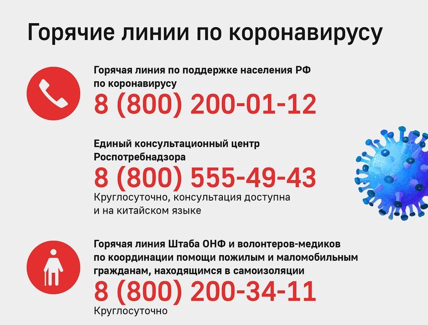 Налоговая московской области горячая линия телефон